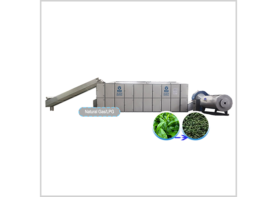 tea    drying machine